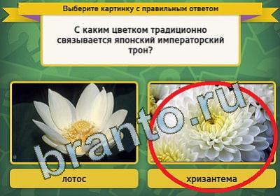 Выбирайка решения Уровень 1163