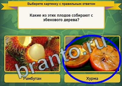 Выбирайка игра ответы Уровень 1164