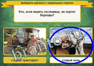 Выбирайка подсказки в контакте Уровень 1209