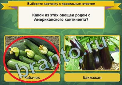 Выбирайка решения Уровень 1212