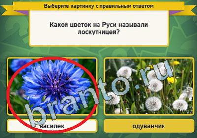 Выбирайка решения Уровень 1222