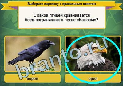 Подсказки на игру Выбирайка Уровень 1232