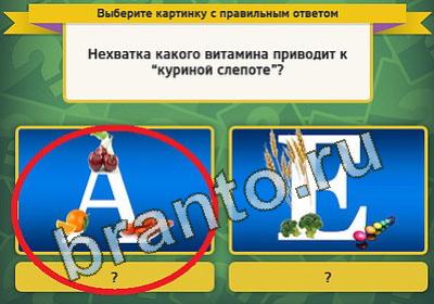 Выбирайка решения Уровень 1242