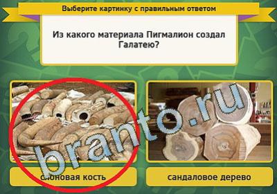 Выбирайка игра ответы Уровень 1253