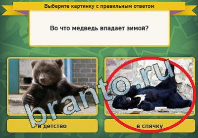 игра Выбирайка помощь Уровень 1259