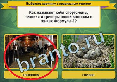 Выбирайка игра ответы Уровень 1303