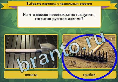 Выбирайка игра подсказки Уровень 1314