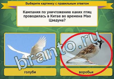 игра Выбирайка ответ на Уровень 1330