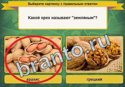 игра Выбирайка помощь Уровень 1339