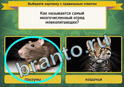 игра Выбирайка ответ на Уровень 1340