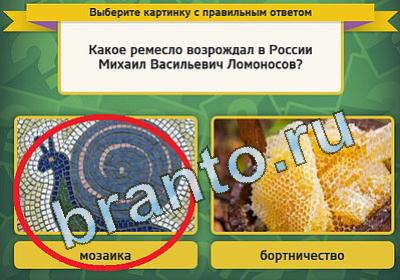 игра Выбирайка помощь Уровень 1349