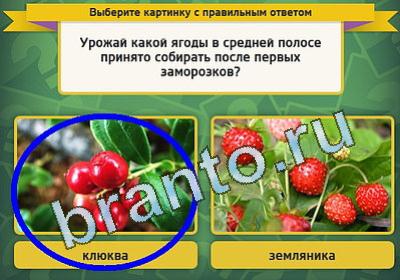 ответы к игре Выбирайка Уровень 1355