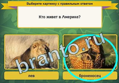 Выбирайка решения Уровень 1392