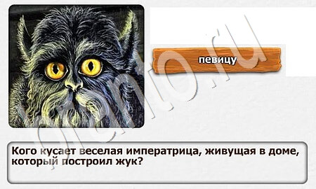 Королевство загадок игра помощь Уровень 15