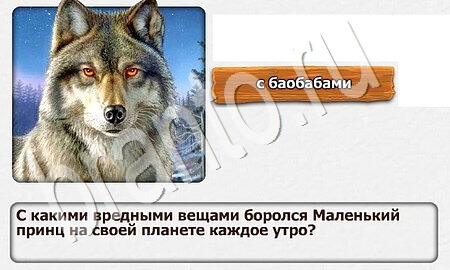 Королевство загадок ответы уровень 38