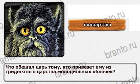 Помощь на игру Королевство загадок Уровень 64