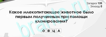 Загадки Сфинкса игра помощь Уровень 135