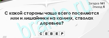 решебник на игру Загадки Сфинкса Уровень 141