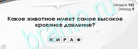 Загадки Сфинкса решения Уровень 142