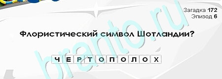 Загадки Сфинкса решения Уровень 172