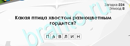 Загадки Сфинкса игра подсказки Уровень 224