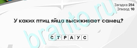 Загадки Сфинкса игра подсказки Уровень 284