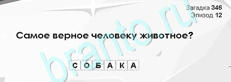 Загадки Сфинкса ответы в картинках Уровень 346