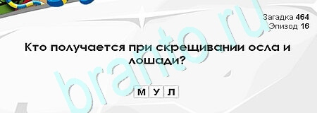 Загадки Сфинкса игра подсказки Уровень 464