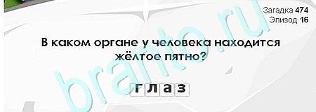 Загадки Сфинкса игра подсказки Уровень 474