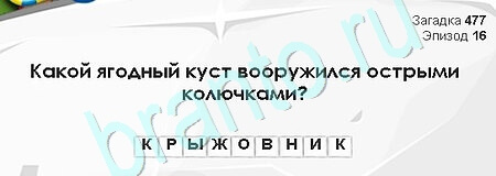 Игра Загадки Сфинкса ответы Уровень 477