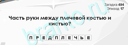 Загадки Сфинкса игра подсказки Уровень 494