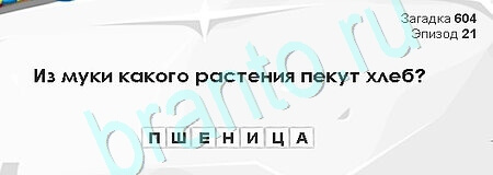 Помощь на игру ВК Загадки Сфинкса Уровень 604