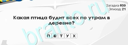 Загадки Сфинкса подсказки в контакте Уровень 609