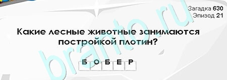 игра Загадки Сфинкса ответ на Уровень 630