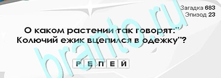 Загадки Сфинкса игра ответы Уровень 683