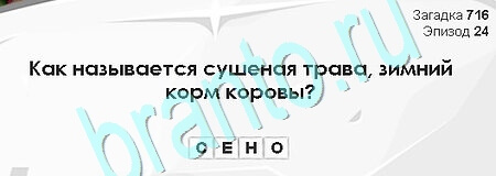 Загадки Сфинкса ответы в картинках Уровень 716