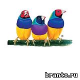 Ответы на игру Брендомания, 3 уровень