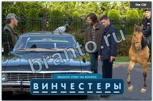 Разгадайка игра подсказки в одноклассниках уровень 197