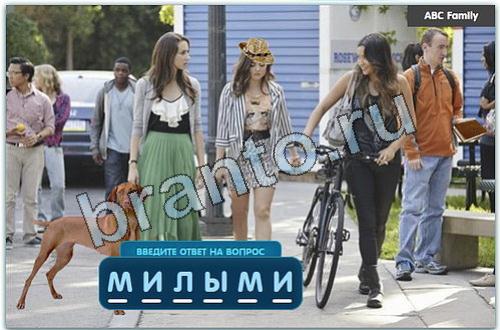 Разгадайка игра в одноклассниках в контакте помощь уровень 309