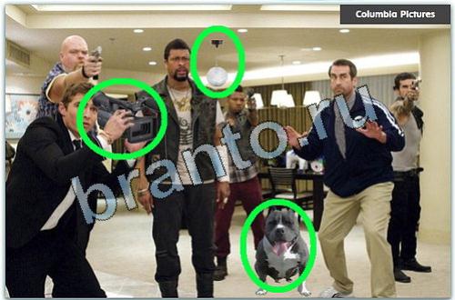 разгадайка какие фотоляпы загаданы уровень 331