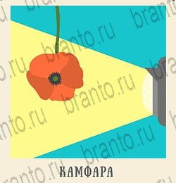 Одноклассники Кот Ребус ответ на уровень 2 ночь