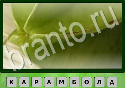 ответы к игре Король слов Тест IQ Уровень 155