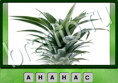 Король слов Тест IQ игра помощь Уровень 165