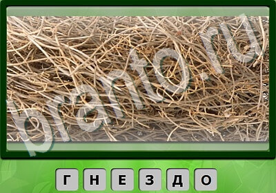 Король слов Тест IQ игра ответы Уровень 173