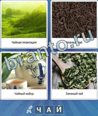 Игра что за слово: трава, что-то зелёное, заварка, сухие листья, чайник, ложка
