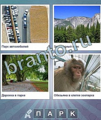 машины, лес и горы, тропинка, обезьяна