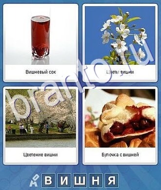 что за слово ответы в картинках 5 букв: стакан вина, белые цветы, деревья, пирожок