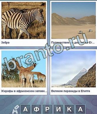 Какое слово загадано на 182 уровне: зебра, в пустыне едут машины, жирафы, пирамида