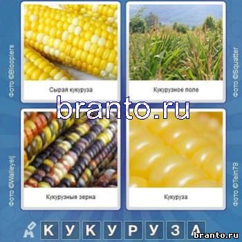Что за слово 8 букв - кукуруза