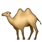 Guess the Emoji answers camel